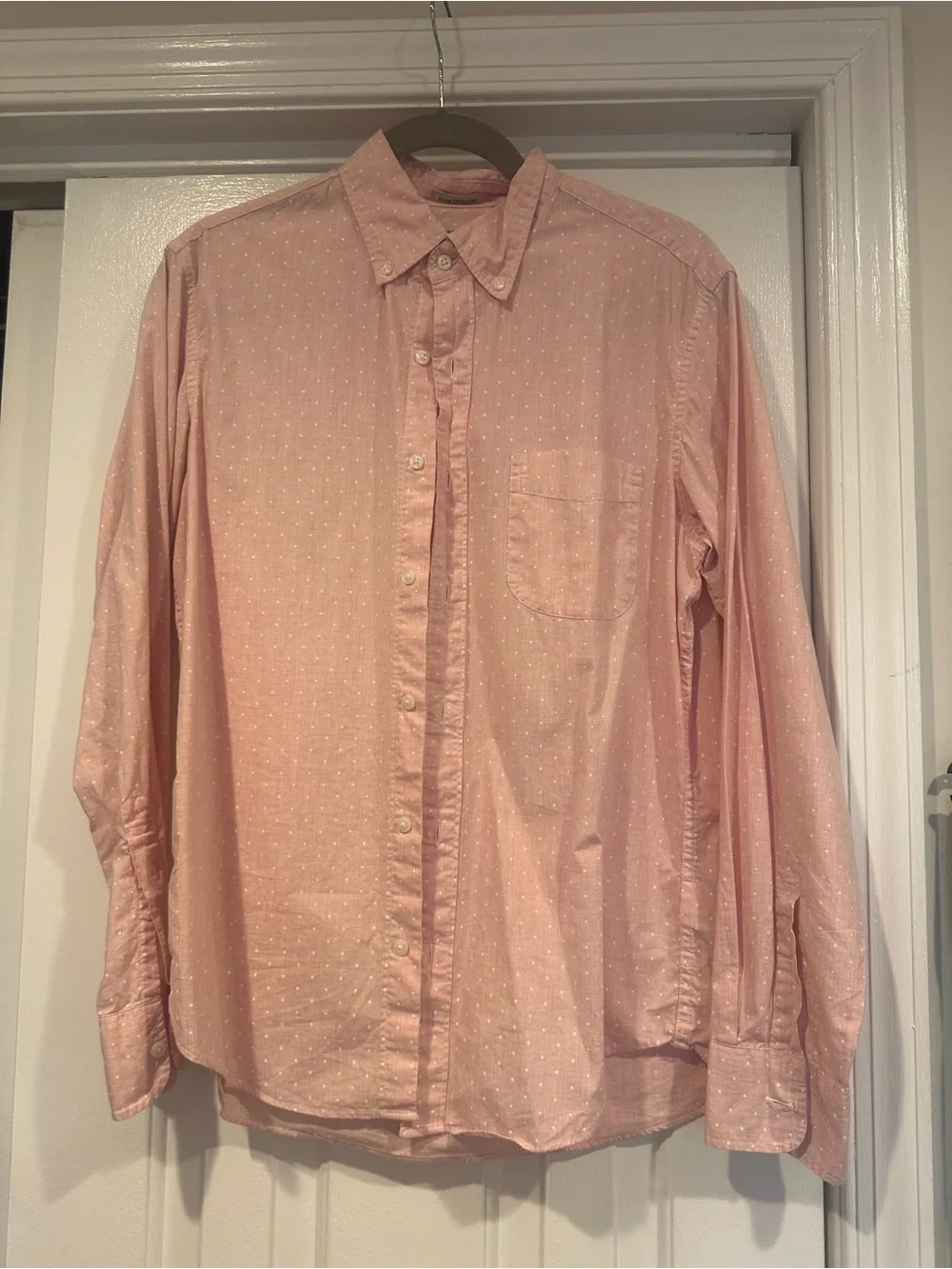 Men's j crew Lightweight Pink Button-Down Shirt